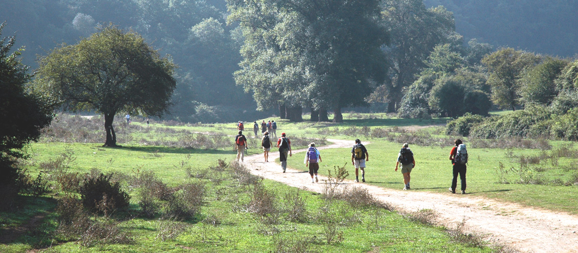 via francigena